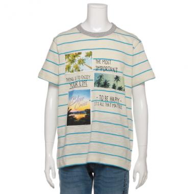 フォトダイアリージャカードボーダーTシャツ