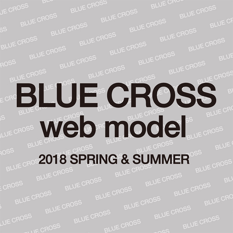 ブルークロス webモデル発表